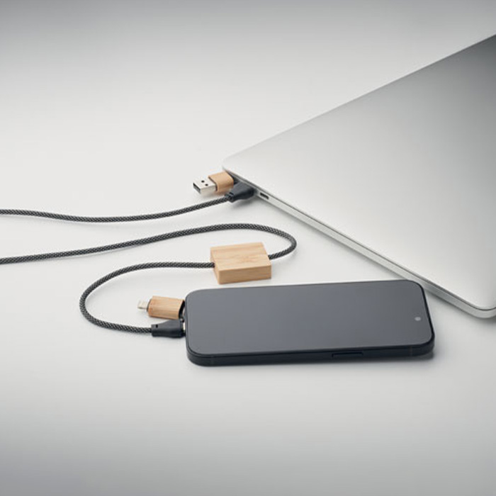 Renner 60W charging cable (2)